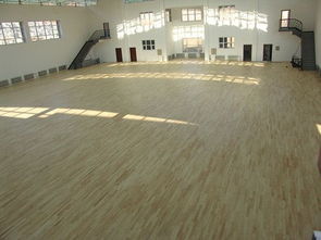 甲級(jí)運(yùn)動(dòng)木地板 暢森